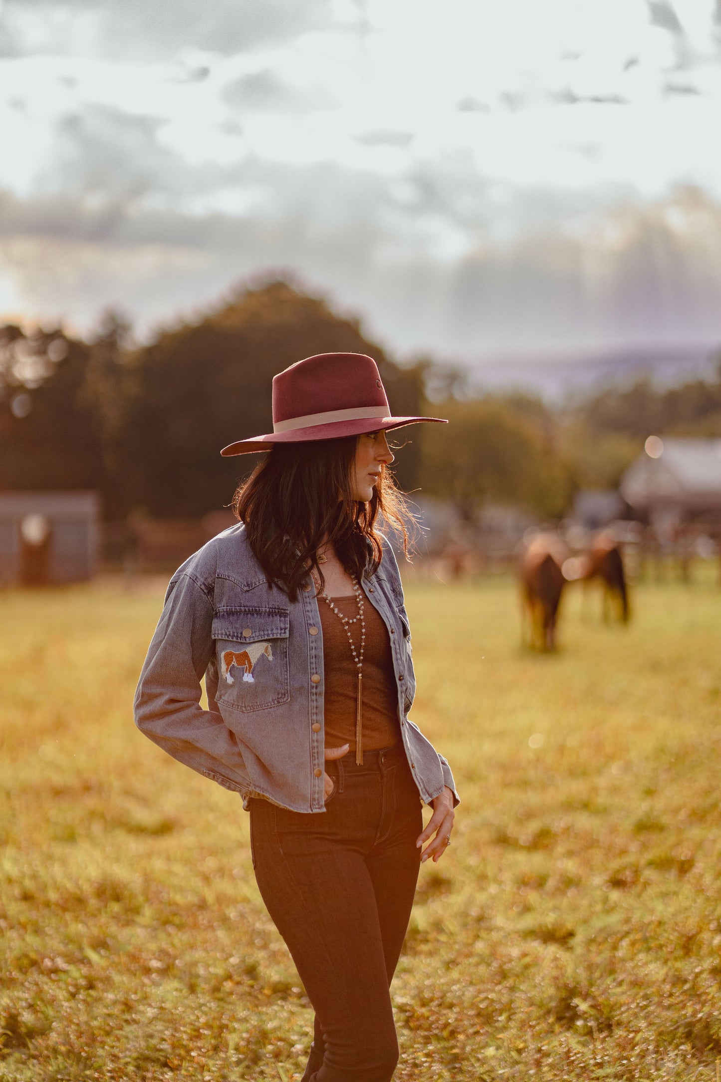 Blue Horse Embroidered Cropped Denim Shirt