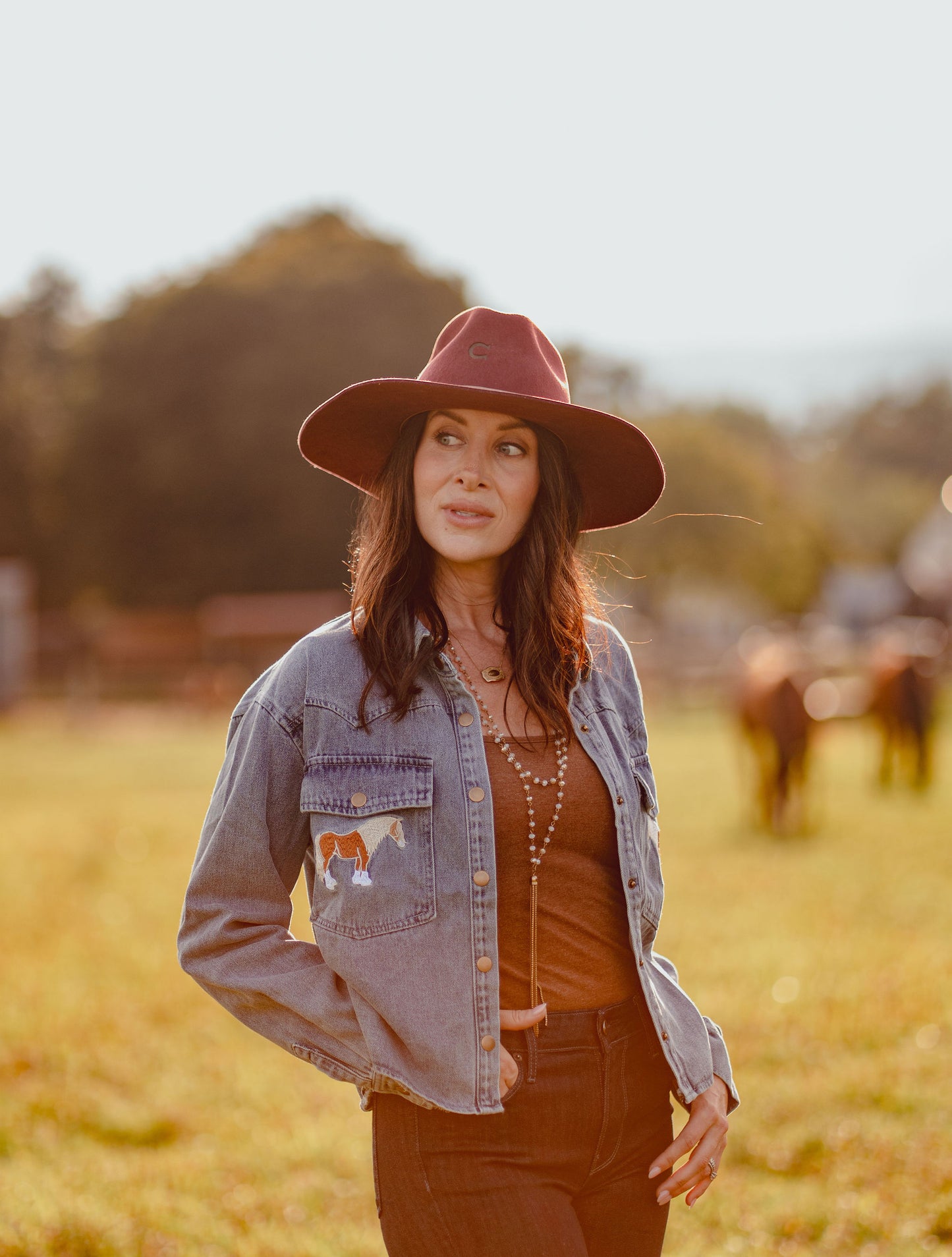 Blue Horse Embroidered Cropped Denim Shirt