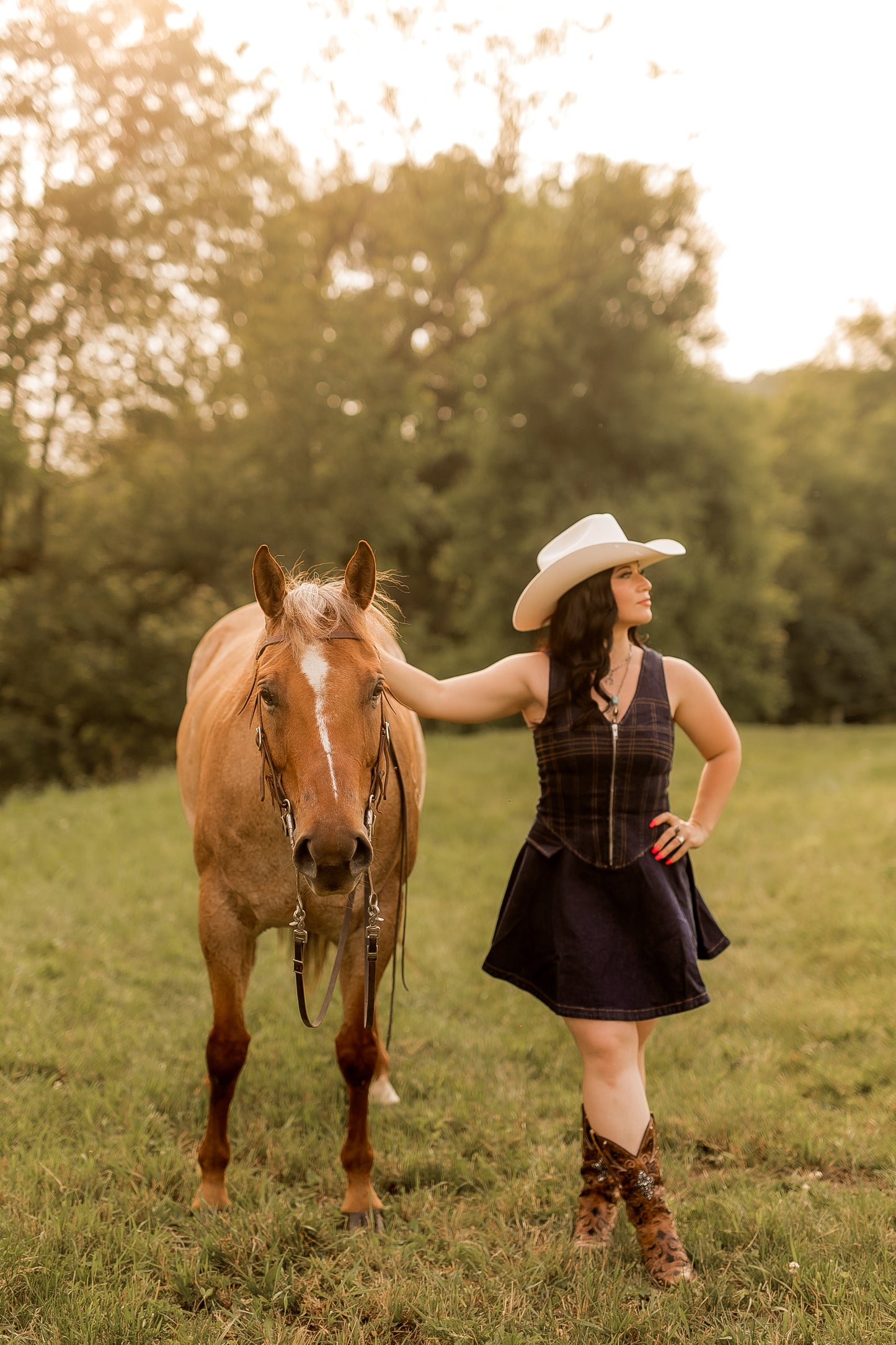 Indigo Frame Denim Mini Dress