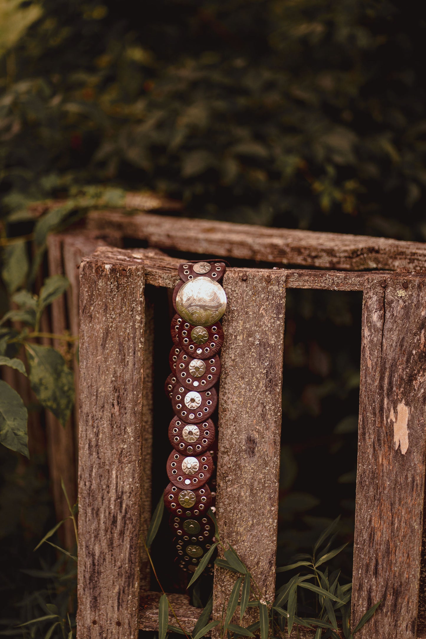 Brown Starflower Concho Belt