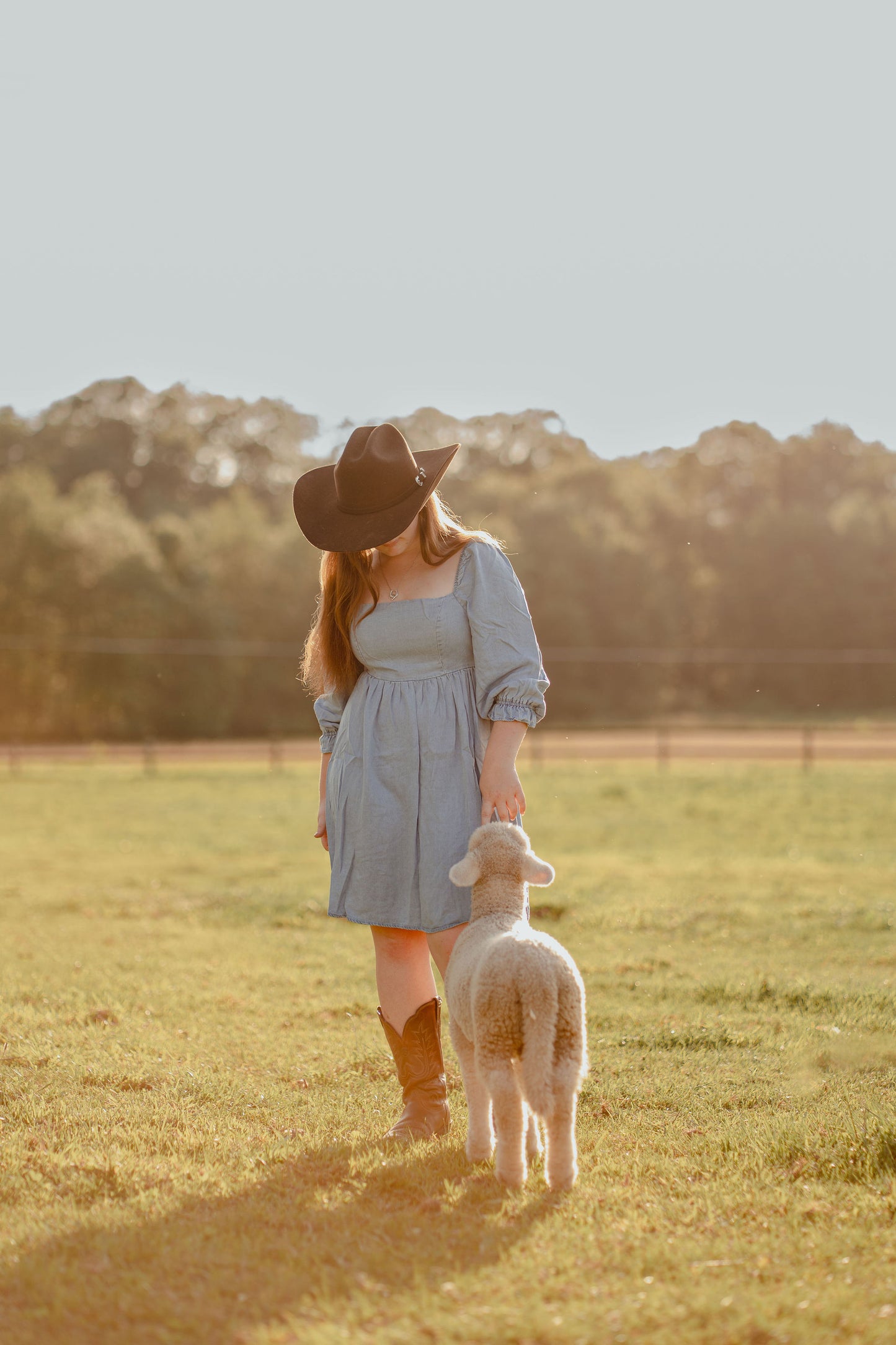Denim Range Mini Dress