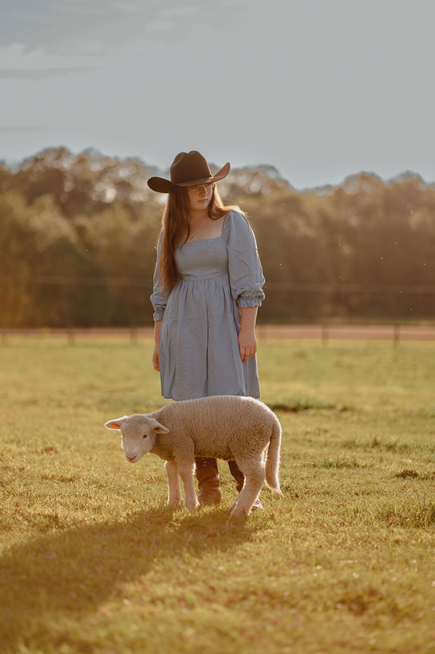Denim Range Mini Dress