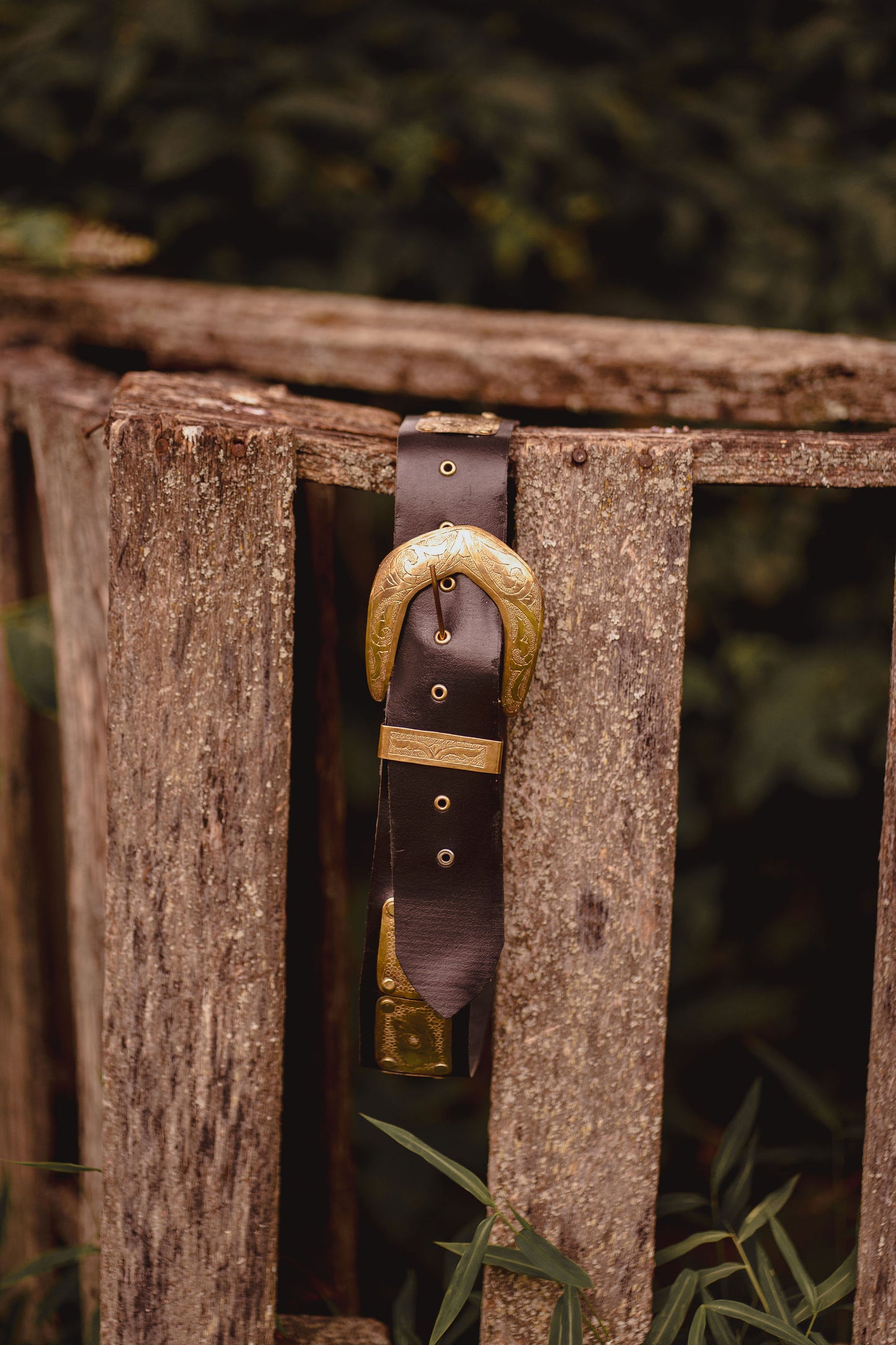 Golden Reign Concho Belt