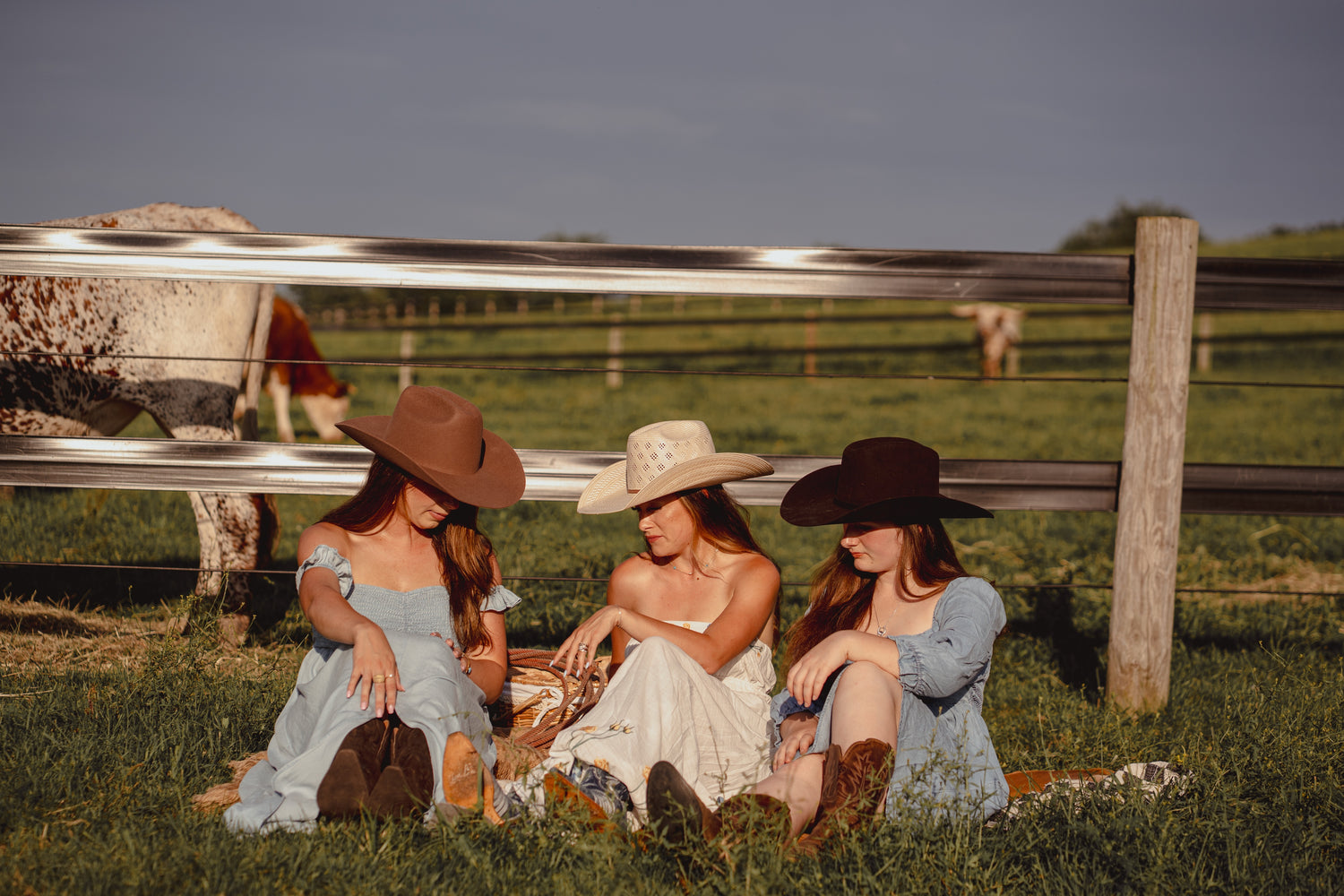 Longhorn Luxe