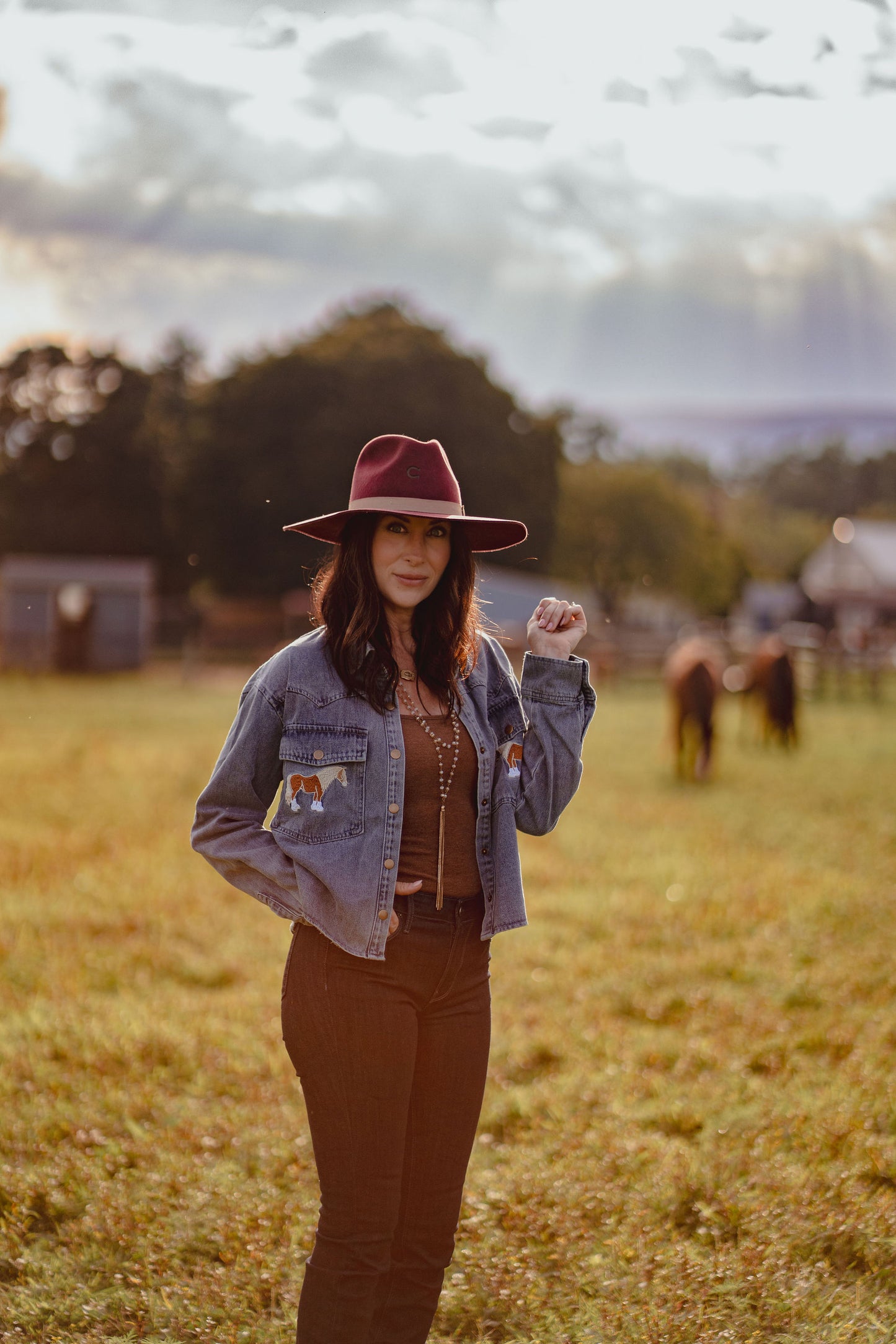Blue Horse Embroidered Cropped Denim Shirt